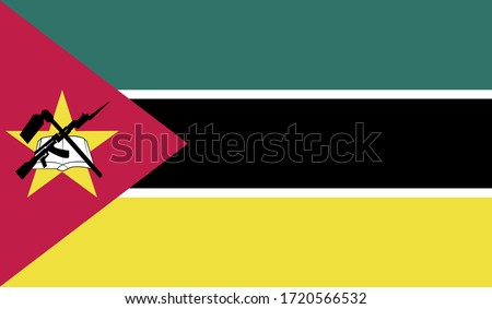 vector illustration of Mozambique flag