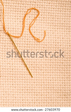 Needle with embroidery thread