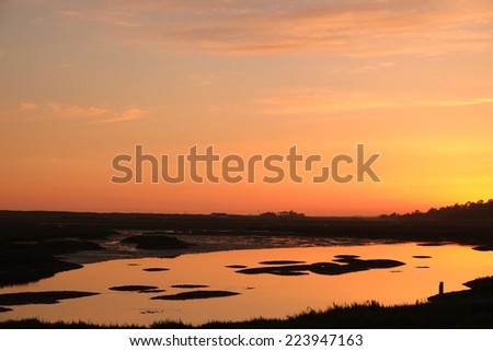 Orange color cast taken on a pond during sunset