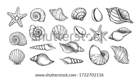 Hand drawn vector illustrations. Marine background with seashells. Collection of shell, sink and starfish. Perfect for invitations, fabric, textile, linens, posters, prints, banners 