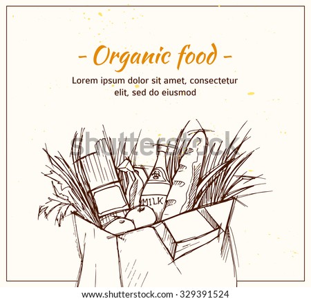 Hand drawn vector illustration - Supermarket shopping bag with organic food. Grocery store.