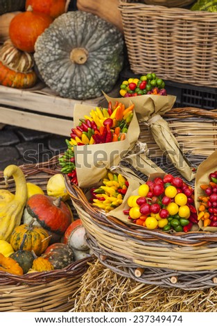 Colorful Vegetables on a Marketplace, Rome, Italy