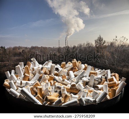 Cigarette smoke damages lungs - stop smoking!