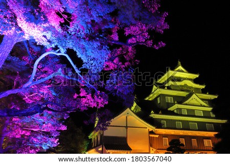 Similar – Image, Stock Photo lit tree at night in autumn