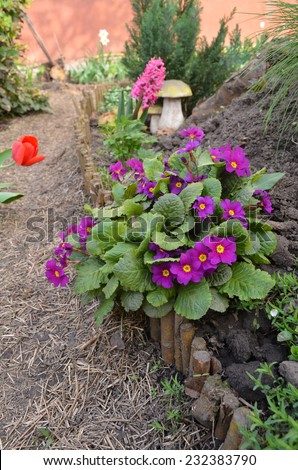 Beautiful colorful flower garden with various flowers. Ideas for garden landscaping