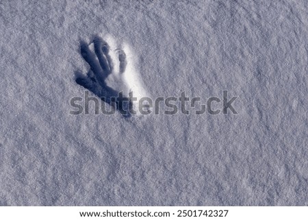 Similar – Image, Stock Photo Palm prints on frozen glass