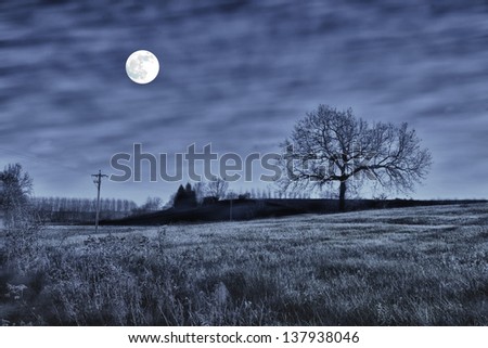 Night scene with a tree and full moon