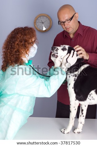 Vet With Dog and it owner In Surgery
