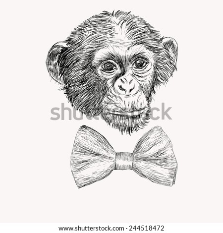 Sketch realistic monkey face with bow tie. Hand drawn doodle vector illustration, high detailed.