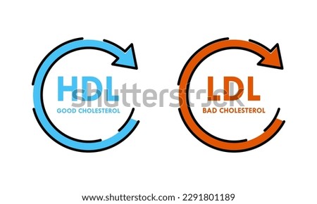 Good HDL and bad LDL cholesterol design template illustration