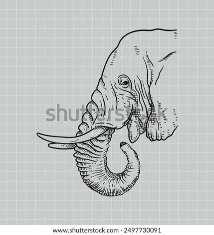 Hand drawing elephant. African Elephant. Baby Elephant. Elephant vector editable color