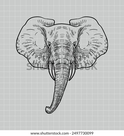 Hand drawing elephant. African Elephant. Baby Elephant. Elephant vector editable color