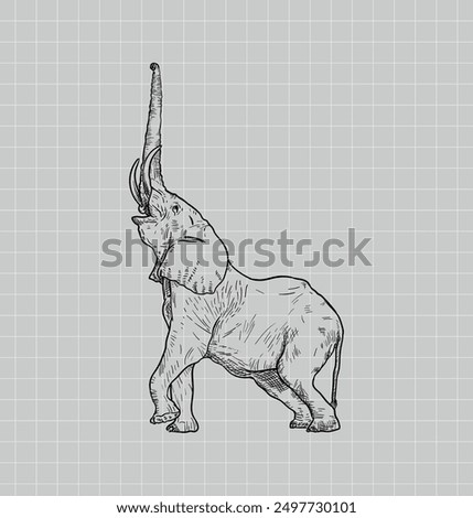 Hand drawing elephant. African Elephant. Baby Elephant. Elephant vector editable color