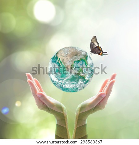 Green planet with butterfly over human hands in blurred green color bokeh background of natural tree leaves facing sun flare : Saving environment concept: Elements of this image furnished by NASA