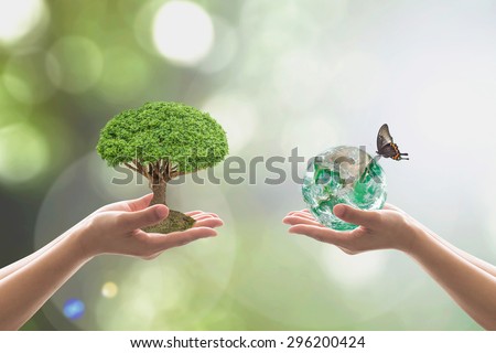 Two human hands with tree planting and green globe with butterfly on blurred natural bokeh background of tree leaves: Reforestation, sustainable world forest: Elements of this image furnished by NASA
