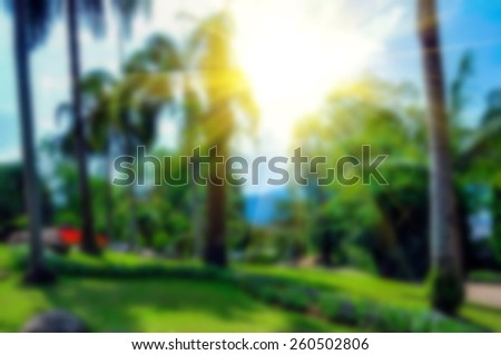 Abstract blur and soft background, out of focus colorful nature