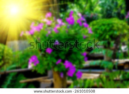 Abstract blur and soft background, out of focus colorful nature