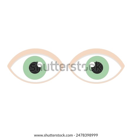 Professionally drawn illustration of green eyes on a white background