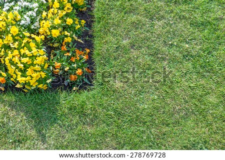Corner of flower bed with orange, yellow & white flowers surrounded by green lawn.