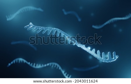 Micro RNA (miRNA) 3d illustration Imagine de stoc © 