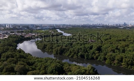 Recife Pernambuco Brazil - 02 11 2020: view of a large area of ​​Mangrove with the city of Recife in the background. Pernambuco, Brazil. conservation area near Recife. Sustainability. Foto stock © 