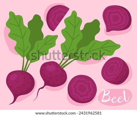 Beet. Purple beets with green leaves. Fresh vegetable. Ingredient for cooking. 