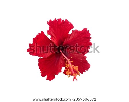 Shutterstock - PuzzlePix