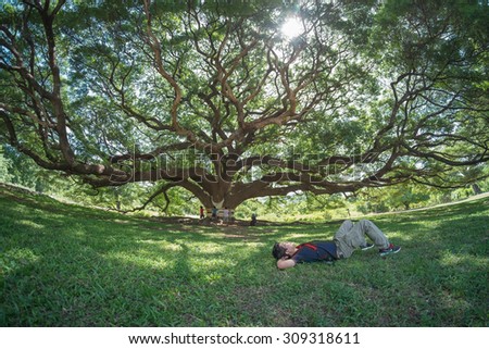 Kanchanaburi, Thailand - July 5, 2014: A man sleeps under largest monkey pod tree in Kanchanaburi, Thailand