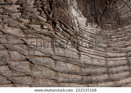 Old timber texture as background
