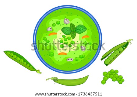 Bowl of the green peas soup isolated on white background. Tasty hot vegetable soup with vegetable and mushroom in plate and open pea pods near. Summer cream soup top view. Stock vector illustration