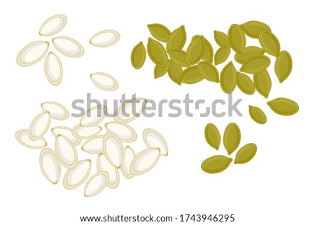 Pumpkin seeds isolated on white background. Whole and peeled pumpkin seeds. Roasted pumpkin seeds in cartoon style, top view. For template label, packing and emblem farmer market design. Stock vector