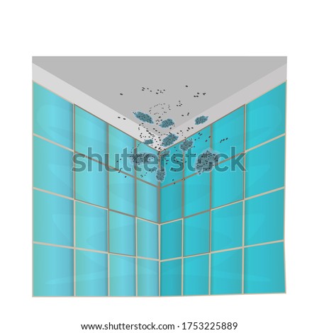 Mold on walls and ceiling isolated on white background. Mold on the green tile in the bathroom. Mildew in the shower. Concept of condensation, damp, high humidity and respiratory problems.Stock vector