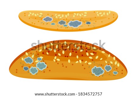 Similar – Image, Stock Photo rotting date | is rung in