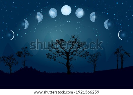 Cartoon moon phases. Whole cycle from new moon to full. Lunar cycle change. New, waxing, quarter, crescent, half, full, waning, eclipse. Space of cosmos. Night sky and landscape with trees. Vector