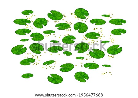 Lily Pad Find And Download Best Transparent Png Clipart Images At Flyclipart Com