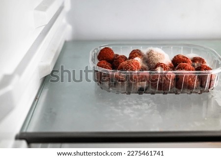 Similar – Image, Stock Photo rotting date | is rung in