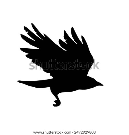 Silhouette of a bird flying vector. Raven wings spread and flying Silhouette.