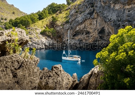 Similar – Foto Bild Segelyacht vor Anker in einer Bucht, durch Blätter einer Agave im Vordergrund gesehen, die ein Muster bilden