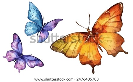 Blue purple and orange butterfly illustration vector set. Flying butterflies isolated on white. Summer insects.