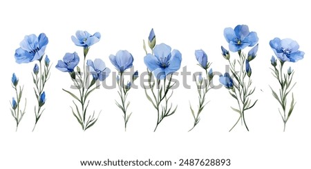 Image, Stock Photo White wild flowers on a light blue background