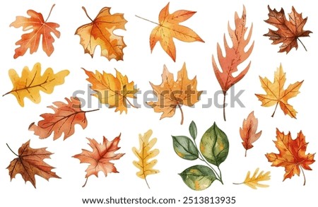 Beautiful watercolor autumn leaves collection with vibrant shades of orange, red, and yellow. Perfect for seasonal designs, invitations, artistic projects celebrating beauty of fall. Dry leaves set