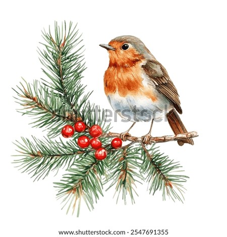 Similar – Image, Stock Photo Robin in a tree