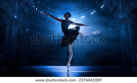 Similar – Image, Stock Photo young female ballet dancer at the studio