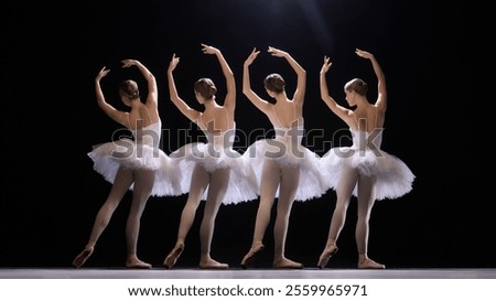 Image, Stock Photo Ballerina standing on tiptoe classical position outside