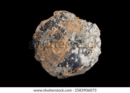 Similar – Image, Stock Photo rotting date | is rung in