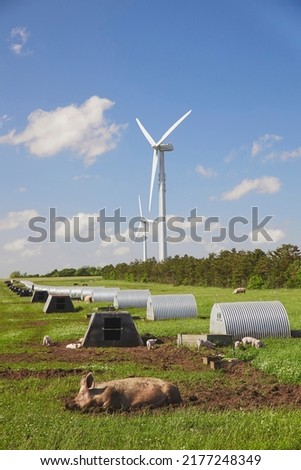 Similar – Image, Stock Photo alternative energy Bacon