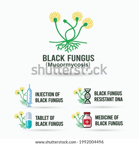 Black Fungus vector design bundle