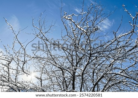 Similar – hoarfrost against the light