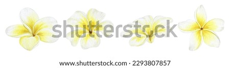 Similar – Image, Stock Photo Small yellow flowers on a gray rust colored house wall