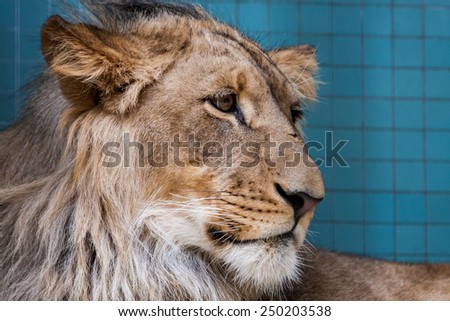 Similar – Image, Stock Photo Large zoo Berlin City